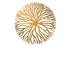 Logo Hectares Park & Resort